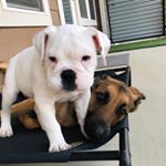 Profile Picture of E𝐥𝐥𝐚 G𝐫𝐚𝐜𝐞 & A𝐛𝐢𝐠𝐚𝐢𝐥 R𝐨𝐬𝐞 G𝐚𝐫𝐲 (@ella_abigail_garysisters) on Instagram