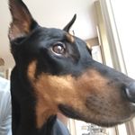 Profile Picture of Richard Hanel (@rhanel69) on Instagram