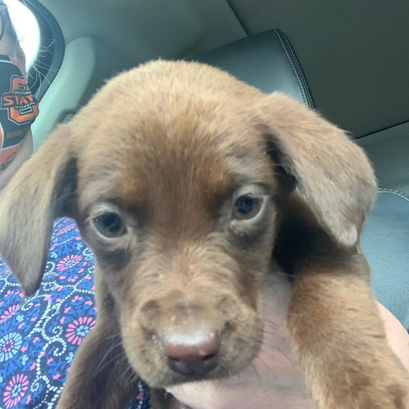 Profile Picture of Maribeth Reisbeck (@maribethreisbec) on Poshmark