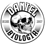 Profile Picture of Prof. Daniel Gatti (@prof.danielgatti7543) on Youtube