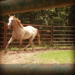 Mckenzie Reese - Twitter Profile Picture of Mckenzie Reese (@mckenziereese25) on Twitter