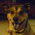 Profile Picture of Charlie Uher (@charlie.uher) on Facebook