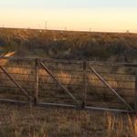 Profile Picture of Juan pazos (@pazosj231) on Instagram