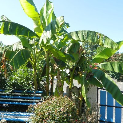 Profile Picture of Jacqueline Panzer (@jacquelinepanz5) on Twitter