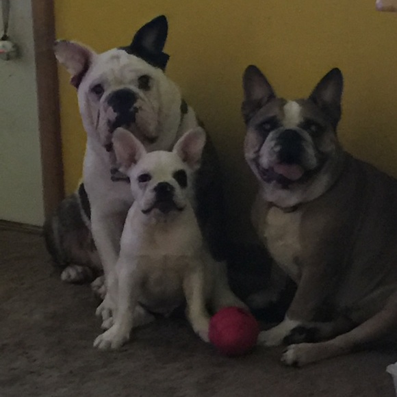 Profile Picture of Julie Wrage (@wragejulie) on Poshmark