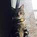 Profile Picture of Peter Scheuermann (@peter.scheuermann.56) on Facebook