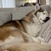 Profile Picture of Mary Carlton Monach (@mary_carlton) on Pinterest