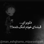 Profile Picture of sia posh eshgham (@siaposheshgham) on Instagram