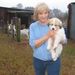 Profile Picture of Donna Steppie (@del65) on Pinterest
