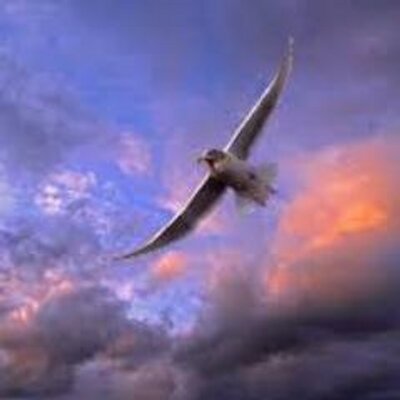 Profile Picture of Joseph McCrory (@McCroryI) on Twitter