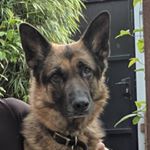 Profile Picture of Tracey Hobbs (@tracey.hobbs.583) on Instagram
