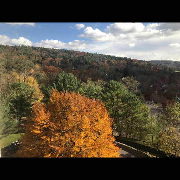 Profile Picture of Alejandro Carranza (@portorocks76) on Poshmark