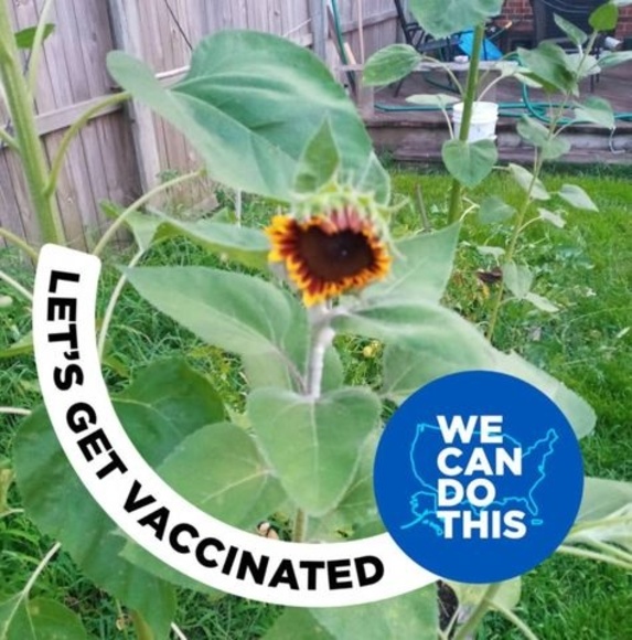 Profile Picture of Matthew Dembkowski (@mdembkowski) on Poshmark