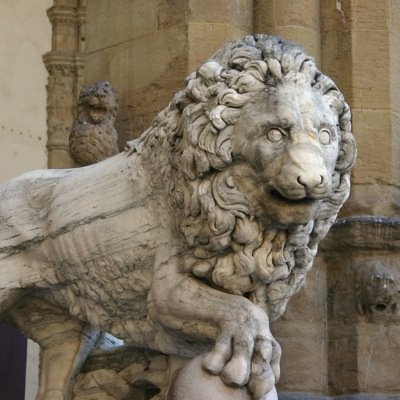 Profile Picture of Doctor Hoo (@michael_lustig) on Twitter