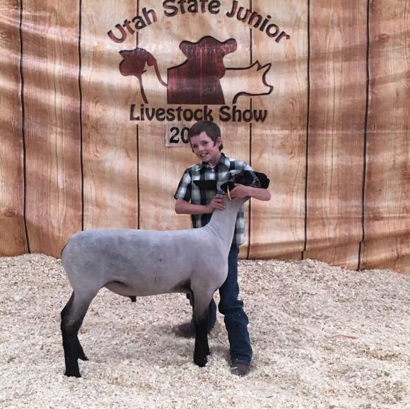 Profile Picture of Kyle Olsen (@kyleolsen19) on Poshmark