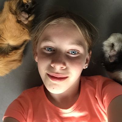 Profile Picture of star (@f.wollersheim) on Tiktok