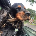 Profile Picture of Ted (@ted_jarvis_cocker) on Instagram