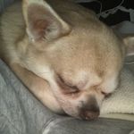 Profile Picture of Edwin saunders (@edwin_saunders17483) on Instagram