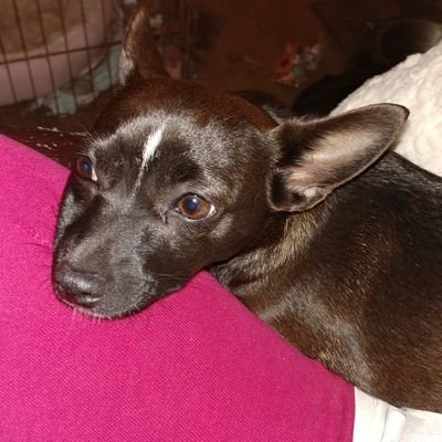 Profile Picture of Michele Coulter (@MicheleCoulter6) on Twitter