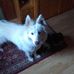 Profile Picture of Michael Freisinger (@michael.freisinger.5) on Facebook