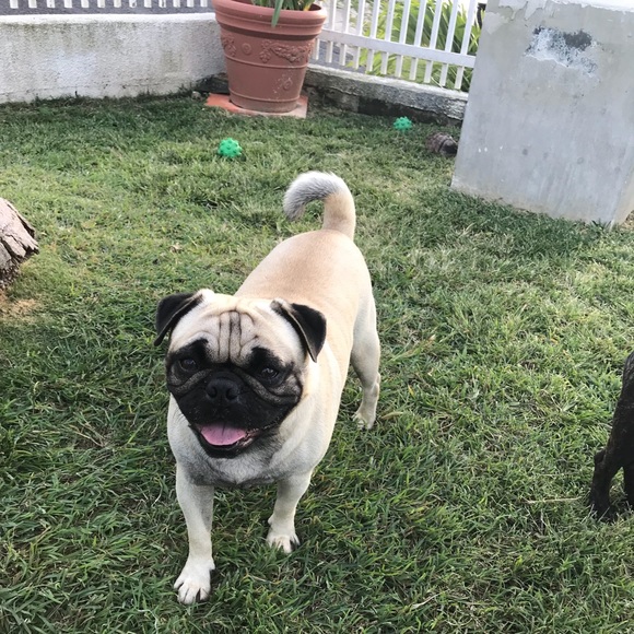 Profile Picture of Luis Cuencas (@cuencas) on Poshmark