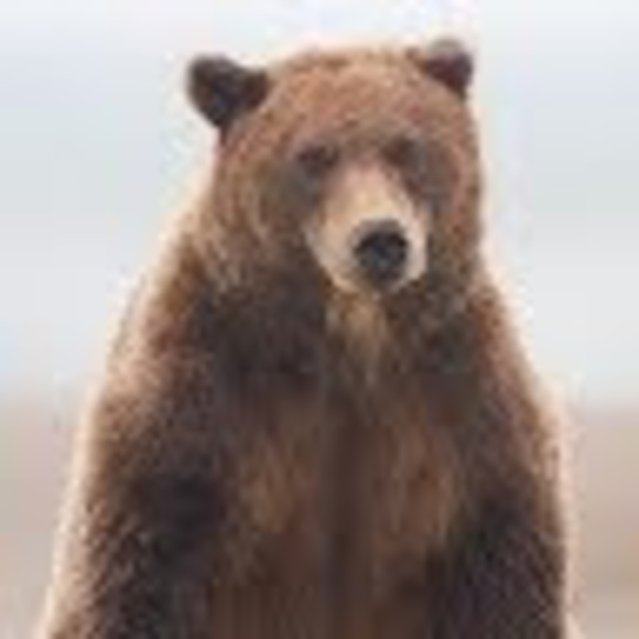 Profile Picture of Barbie Yerian (@ellenyerian) on Poshmark