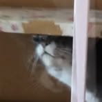 Profile Picture of Bailey Csortan (@ncp.bails) on Facebook