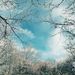 Profile Picture of Mohammad Hamzeh (@mohamadh5885) on Pinterest