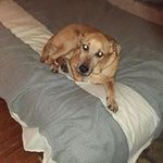 Profile Picture of David Demarest (@david.demarest.9862) on Instagram