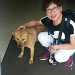 Profile Picture of Doris Kwong (@doris.kwong.334) on Instagram