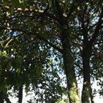 Profile Picture of Benjamin Benito (@benjamin.benito.16) on Instagram