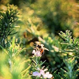 Profile Picture of Craig Baroody (@craig.baroody) on Facebook