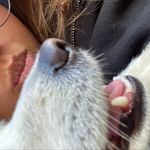 Profile Picture of Rita Salloum (@ritaanhhh) on Instagram