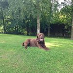 Profile Picture of Phyllis Mccallum (@mccallumphyllis) on Instagram