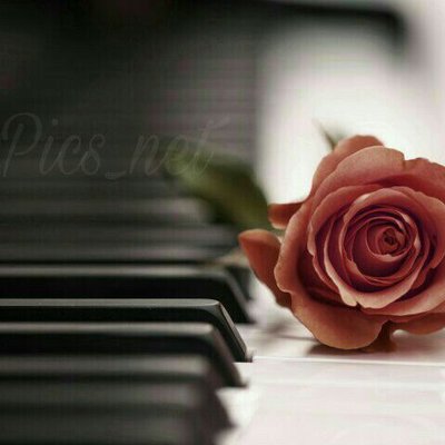 Profile Picture of Zahra Sharifi (@zahrasharifi61) on Twitter