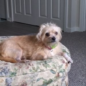 Profile Picture of Gary Wachter (@GaryWachter7) on Twitter