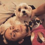 Profile Picture of Nicholas Paredes (@zwarmusic) on Instagram