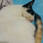 Profile Picture of Dereck Guaman (@Dereck-Guaman) on Facebook