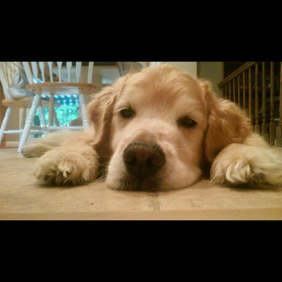 Profile Picture of Elizabeth Pishko (@ejpishko31) on Poshmark