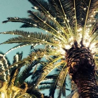 Profile Picture of Rosa Gray (@gray_rosa) on Instagram