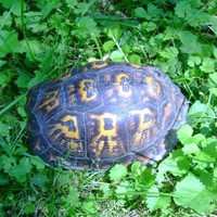 Profile Picture of Andrew Cromley (@andrew-cromley) on Quora