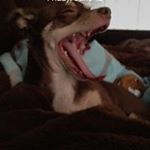 Profile Picture of Steve Mcnutt (@stevemcnutt949) on Instagram