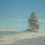 Profile Picture of Hannah Leingang (@hannahmus) on Flickr