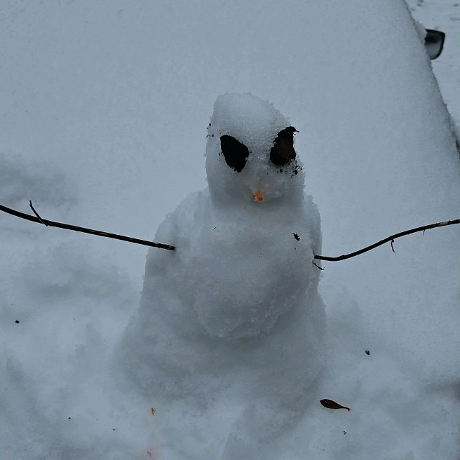 Profile Picture of Cedric (@cedric4594) on Tiktok