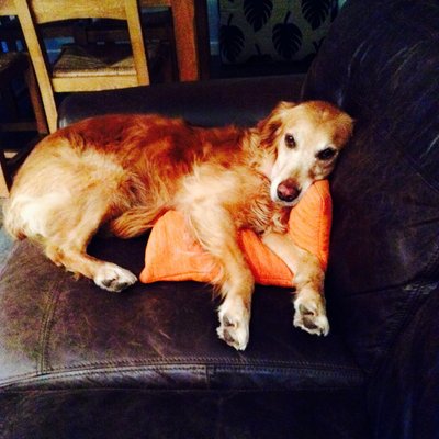 Profile Picture of Ed Stagg (@ed_stagg) on Twitter