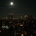 Profile Picture of Lauren Brewer (@thestyleseer) on Instagram