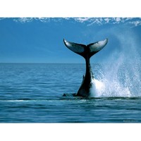 Profile Picture of Philip Schaffer (@philip-schaffer-5) on Quora