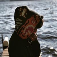Profile Picture of Simon Jacob Gilbert (@simon-jacob-gilbert) on Quora