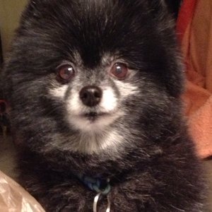 Profile Picture of John Forder (@jforder) on Myspace
