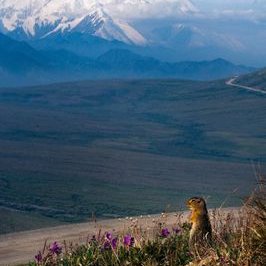 Profile Picture of Robert Mullins (@RobertM17310542) on Twitter